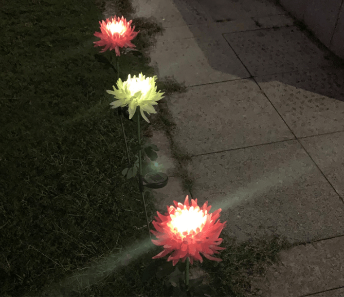 Waterproof solar Artificial chrysanthemum garden LED light - ST healthy life