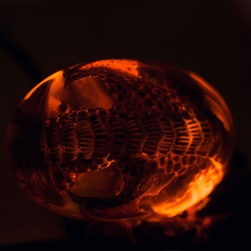 Lava Dragon Egg Ornamental Collection Decor Dinosaur Egg