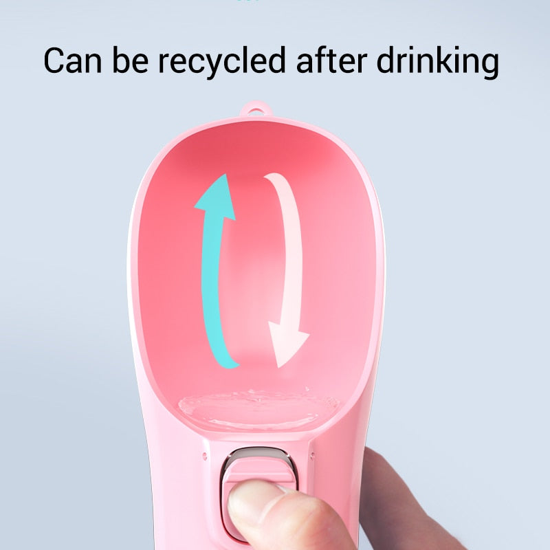 Portable dog water bottle