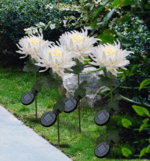 Waterproof solar Artificial chrysanthemum garden LED light - ST healthy life
