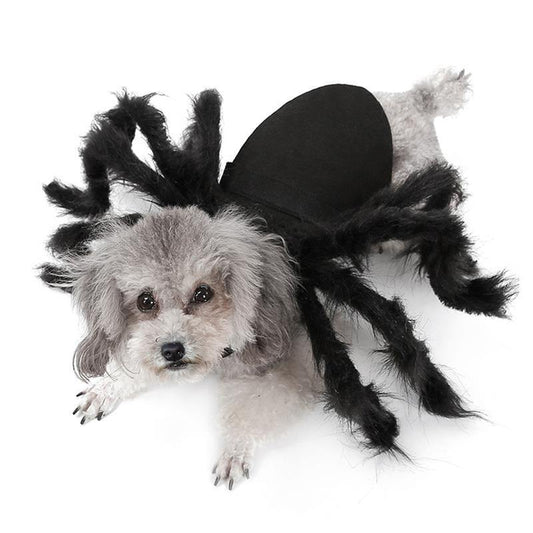 Halloween Spider Clothes Costumes Dress For Pet Dog Cat - ST healthy life